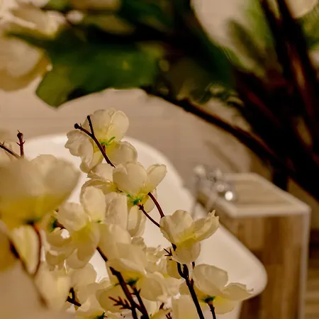 Funnytime Hotel Bucareste