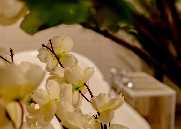 Funnytime ホテル ブカレスト